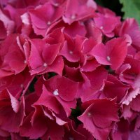 * * * :: Алёна Савина