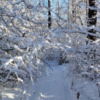 Снежная сказка!!! :: Радмир Арсеньев