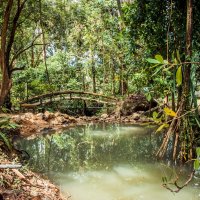 Мостик :: Максим