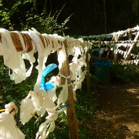 Странная традиция :: Павел Трунцев