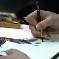 кафрский ворон :: Михаил Бибичков