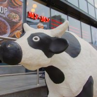 Прогулки по Москве :: Сергей Данилов