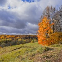 Октябрь в Царицыно... :: Владимир Жданов