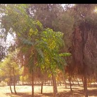 114 (186) :: CLOSE WAYS ALL