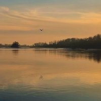 Краснодар :: Екатерина Леш