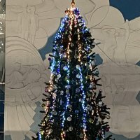 Это наша ёлка :: Дмитрий Никитин