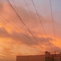 ..необычно розовый рассвет 14.11.2025 :: galalog galalog