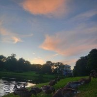 Утки на закате :: Сапсан 