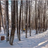 Про зиму... :: Aquarius - Сергей