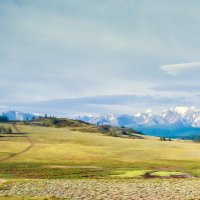 Алтайские просторы :: Михаил Белоусов