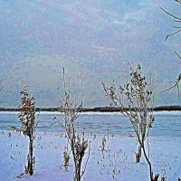 Ноябрь...Сливаются земля и небо  в светло-голубую тональность! :: Владимир 