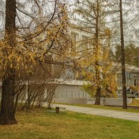 ... :: Николай 