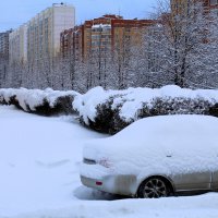 Опять метель... :: Татьяна Лютаева