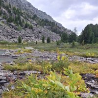 Алтай :: Андрей Л. В.