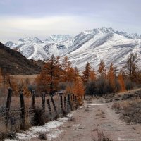 Предзимье на Курае :: елена беликова