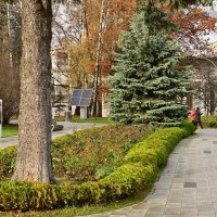 Прогулка :: Валерий Пославский