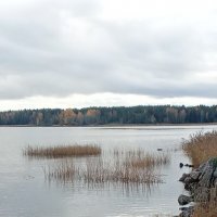 **** :: Ольга Попова (popova/j2011)