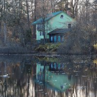 Осиновая роща :: skijumper Иванов