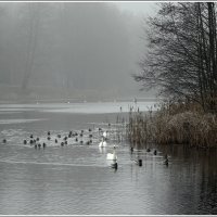 *** :: Aleksandr Gal