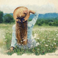 Ромашковое поле :: Оксана Федосова