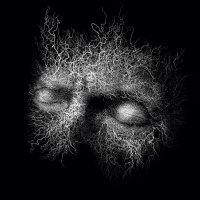 Морфей :: Игорь 