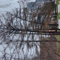 Веселая компания :: Максим Егоров