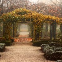 Туманное утро в парке :: Юрий. Шмаков