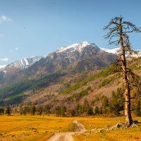 Ущелье Аксаут. :: Аnatoly Gaponenko