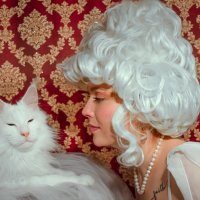 Кошечки :: Ольга Зинченко