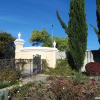 Адлер. Дендропарк "Южные культуры" :: Нина Бутко