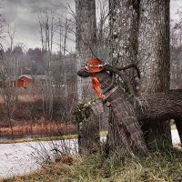 Как долго ждать весну!... ) :: Bosanat Как долго ждать весну!... ) :: Bosanat