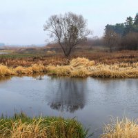 первый лед :: Владимир Зеленцов первый лед :: Владимир Зеленцов