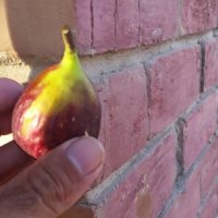 114 (192) :: CLOSE WAYS ALL