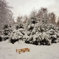 В дендропарке :: Nataly St. 