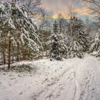 После снегопада . :: Александр Иванович Шитов