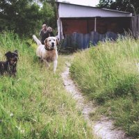 На чужой территории :: Сергей Царёв