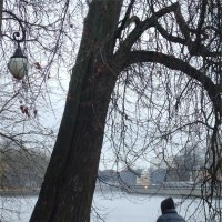 прогулка с собакой на Большой Невке :: sv.kaschuk 