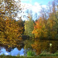 Осень. Прозрачное утро... :: Надежда 