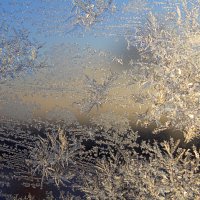 Ура! - мороз и солнце! :: Татьяна Лютаева