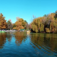 Пейзажи Гагаринского парка :: Валентин Семчишин Пейзажи Гагаринского парка :: Валентин Семчишин