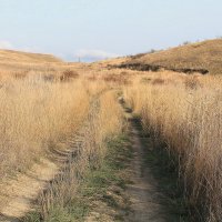 Тропинка узенькая вьется... :: Ирина Тропинка узенькая вьется... :: Ирина