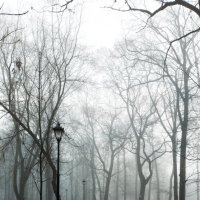 *** :: Валентина Береснева *** :: Валентина Береснева