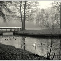 *** :: Aleksandr Gal