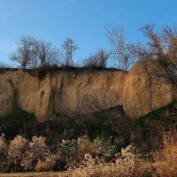 Берег реки Кубань :: Екатерина Леш