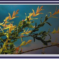 Дыхание осени :: Владимир Кроливец