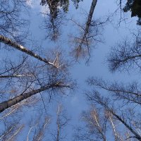 Осень :: ura Зелев