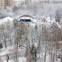 Центральный парк :: Галина Нестратова