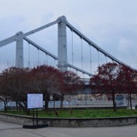 Крымский мост в Москве. Осень 2025 :: Наталья Вязигина