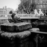 Львы и голуби :: Наталья Герасимова