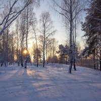 Утро в зимнем лесу. :: Андрей Дурапов